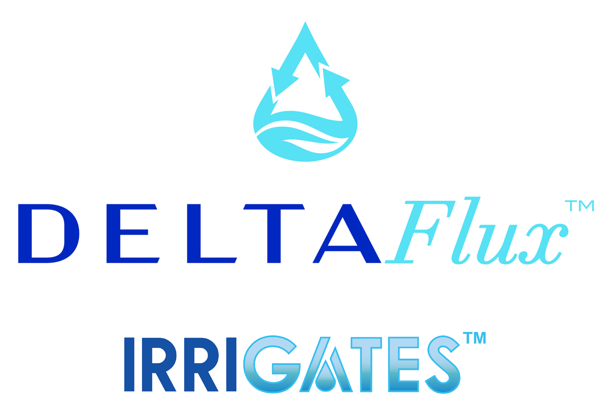 Delta Flux Watermark